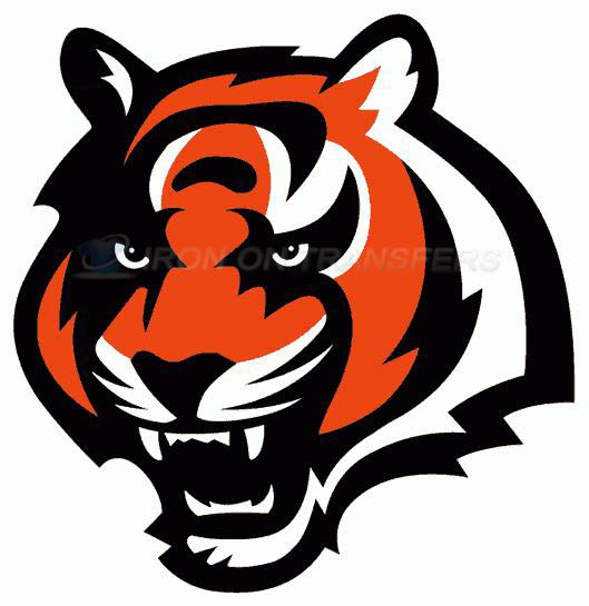 Cincinnati Bengals Iron-on Stickers (Heat Transfers)NO.469